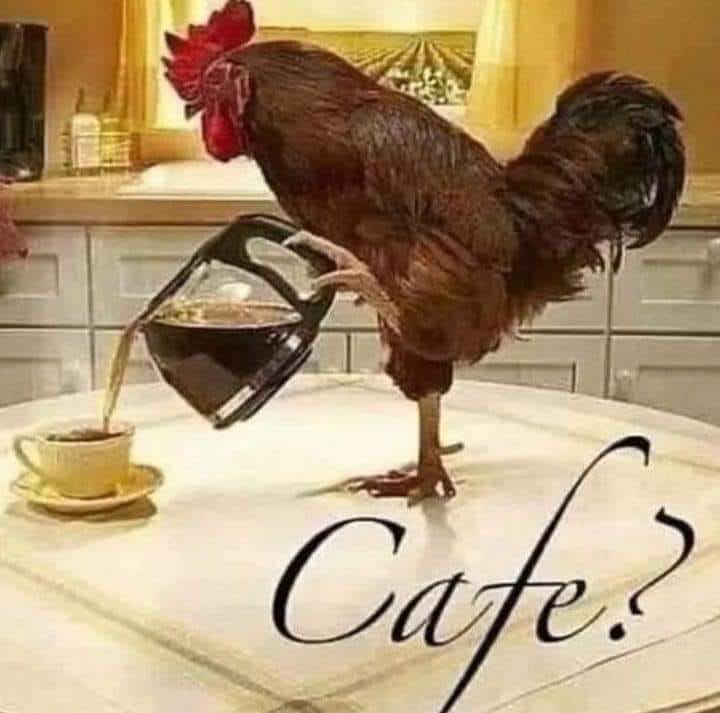 V60 Range Server 360 ml XVD-36B