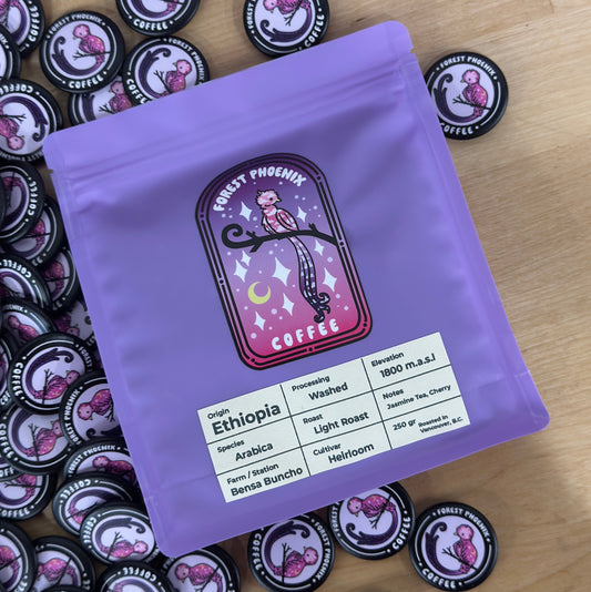 Ethiopia Bensa Buncho - Grade 1 - Light Roast - 250 grams