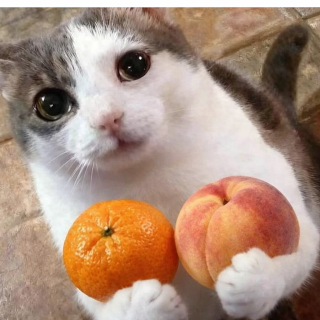 Panama Chiriquí - Grade 1 - Light Roast - 250 Grams